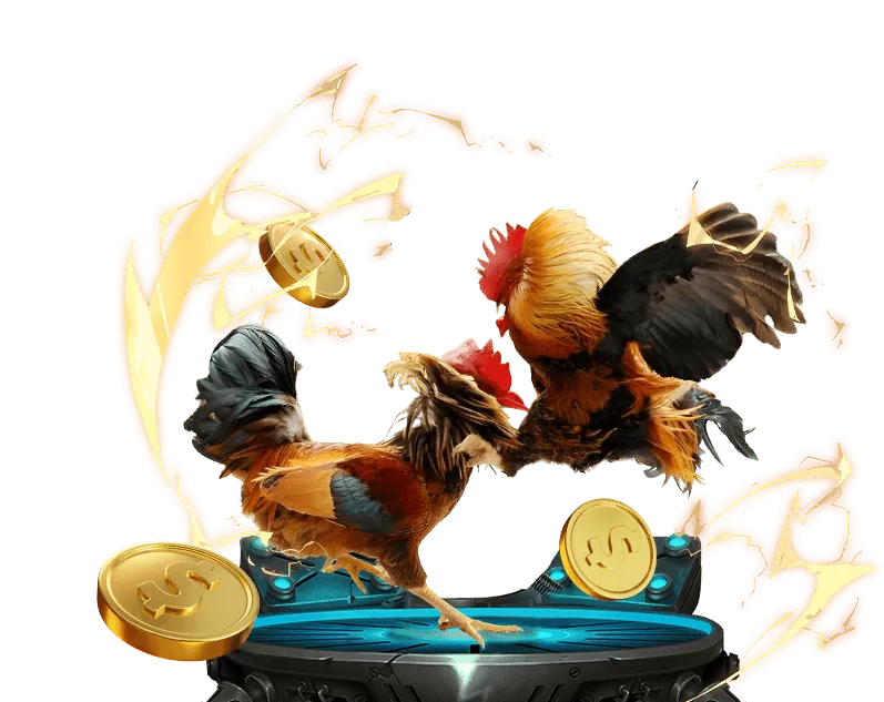 Cá cược Thể Thao m66